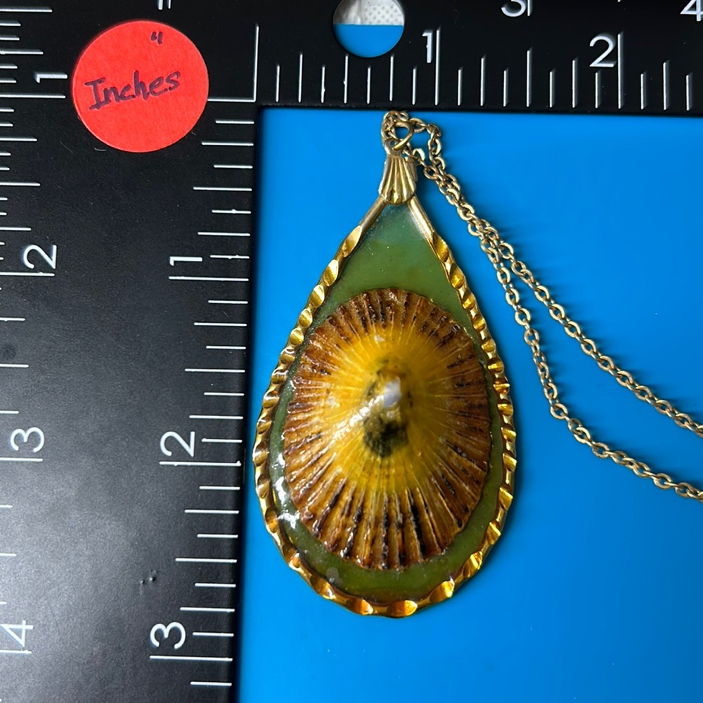 🖤Vtg Hawaiian Opihi shell pendant necklace - Picture 9 of 13